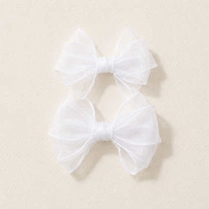 SHOE CLIP