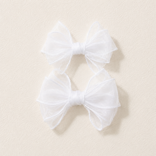 SHOE CLIP