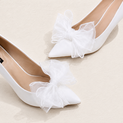SHOE CLIP